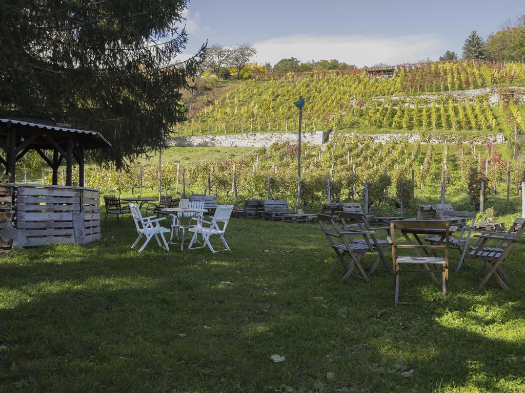 Ferienwohnung Weingut Winzerbar