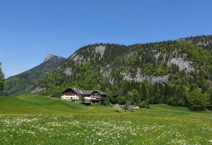 Ferienwohnung Zirbe