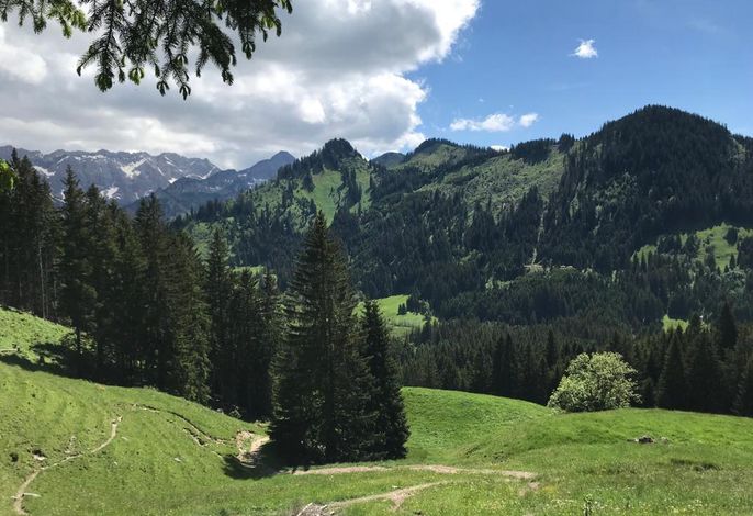 Bild 16