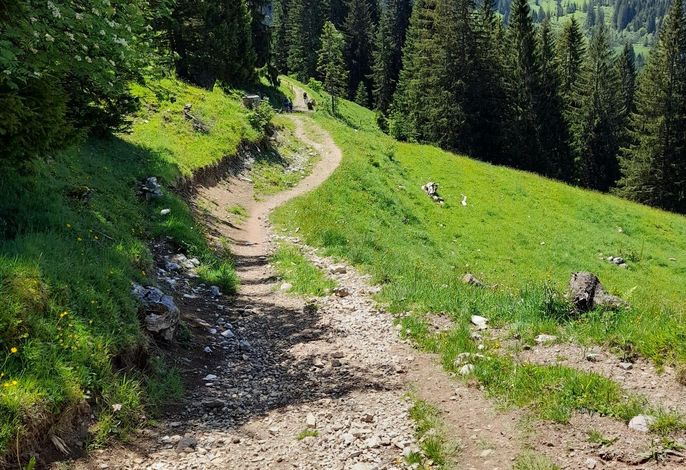 Bild 6