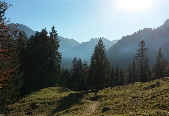 Bild 11