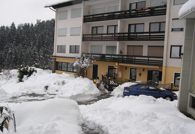 Bild 36