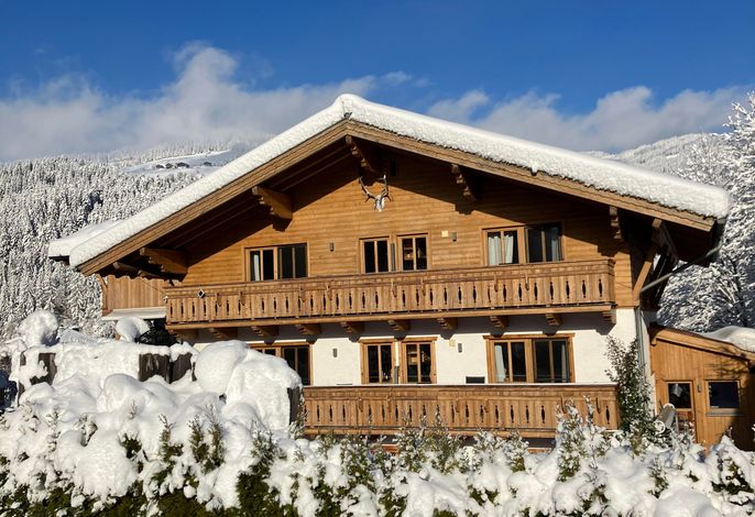 Superior Apartment mit 1 Schlafzimmer und Terrasse