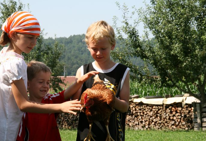Bild 17