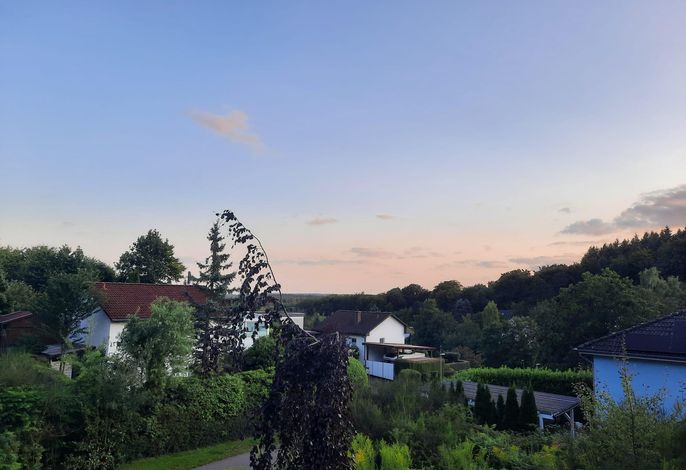 Bild 12
