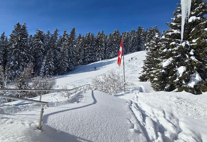 Bild 15