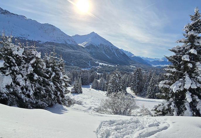 Bild 16