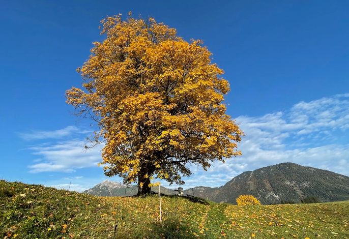 Bild 16