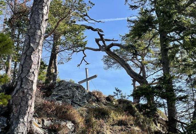 Bild 18