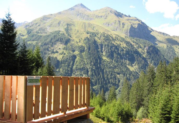 Bild 17
