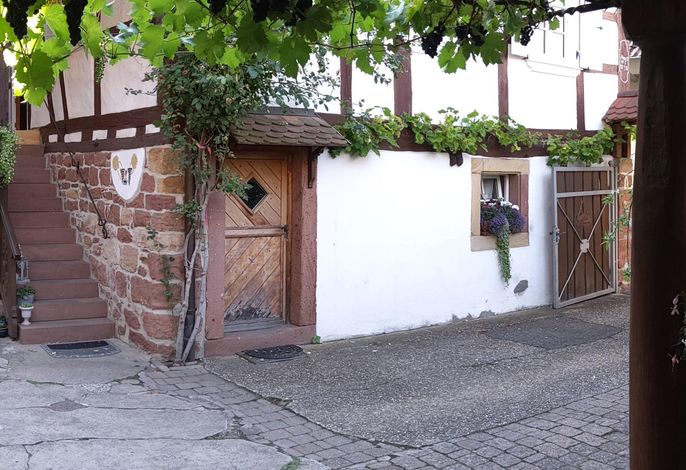 Appartement/Fewo, Dusche, WC, Nichtraucher