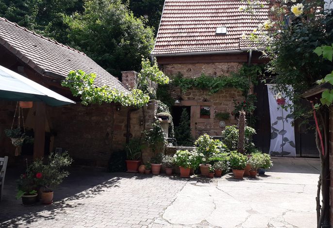 Bild 6
