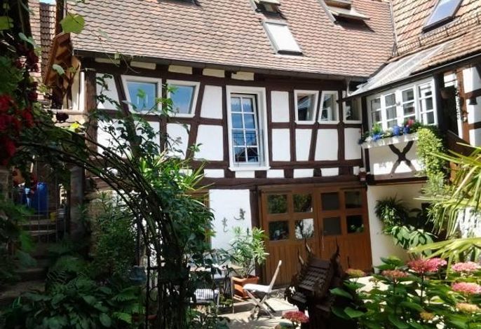 Bild 21