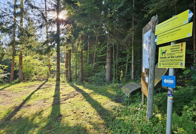 Bild 18