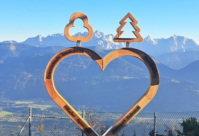 Bild 17