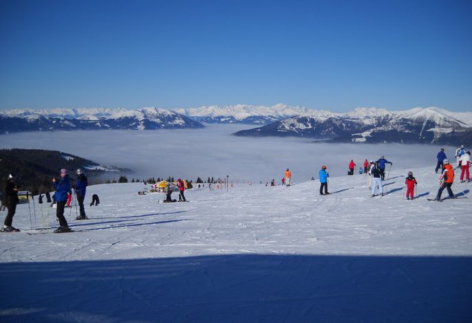 Bild 64