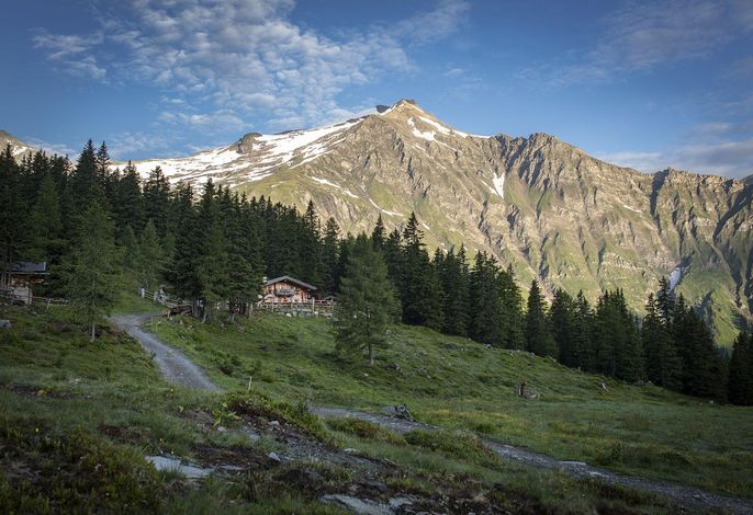 Bild 14