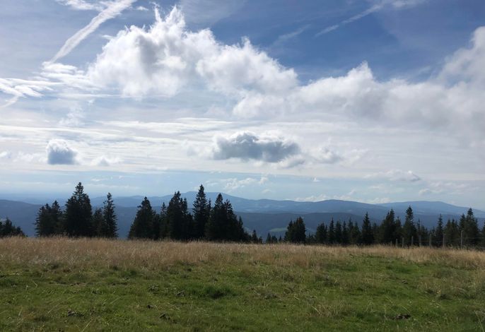 Bild 16