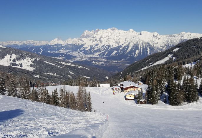 Bild 71