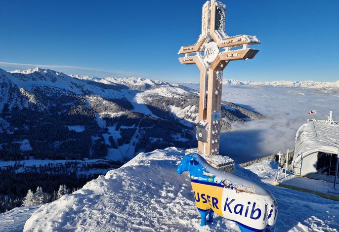 Bild 55