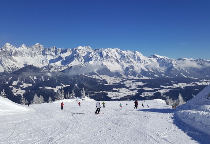 Bild 74