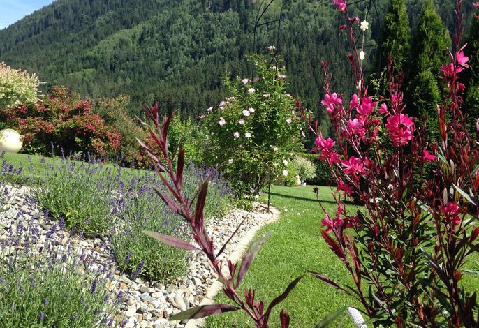 Bild 14