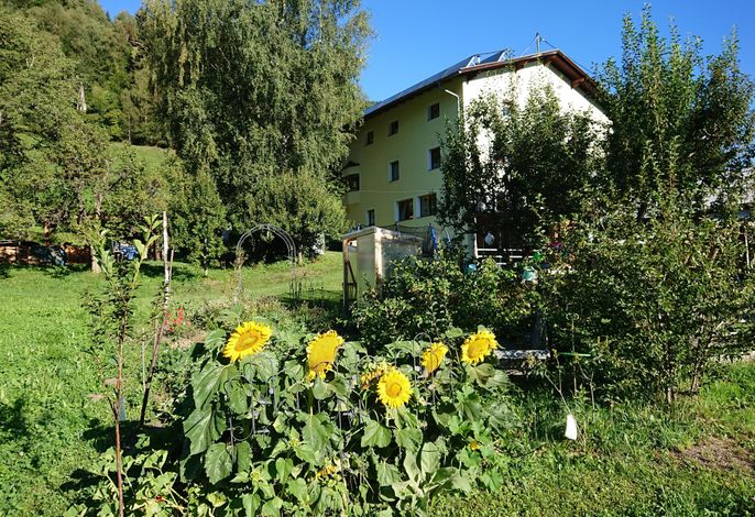 Bild 5