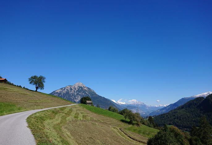 Bild 14