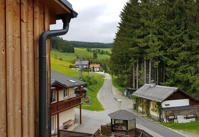 Bild 14
