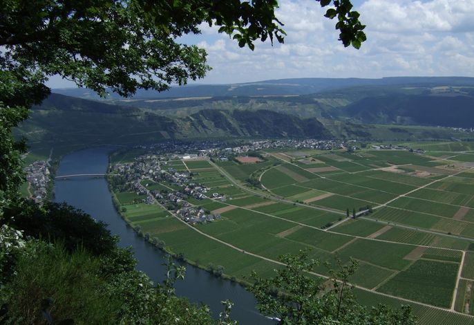 Bild 10