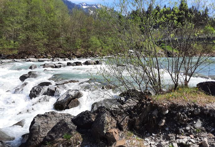 Bild 11
