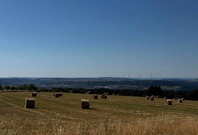 Bild 14