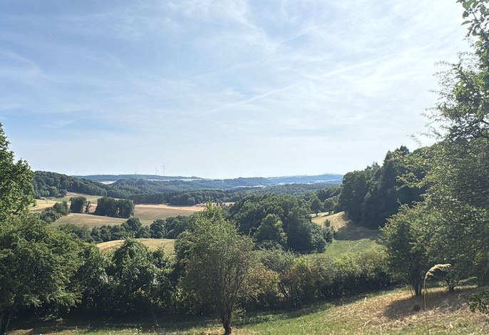 Bild 12