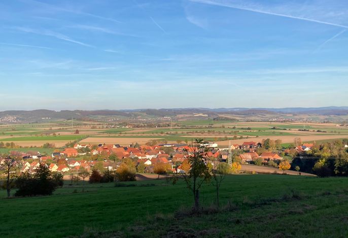Bild 8