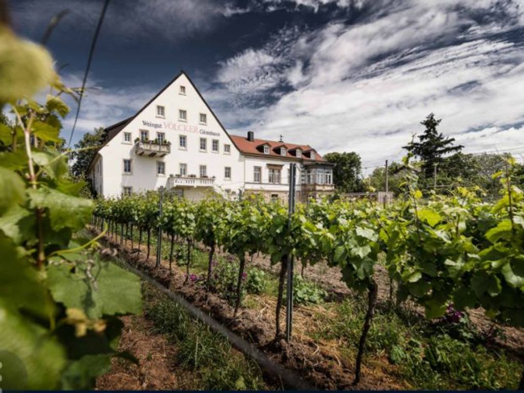 Weingut - Gästehaus Völcker