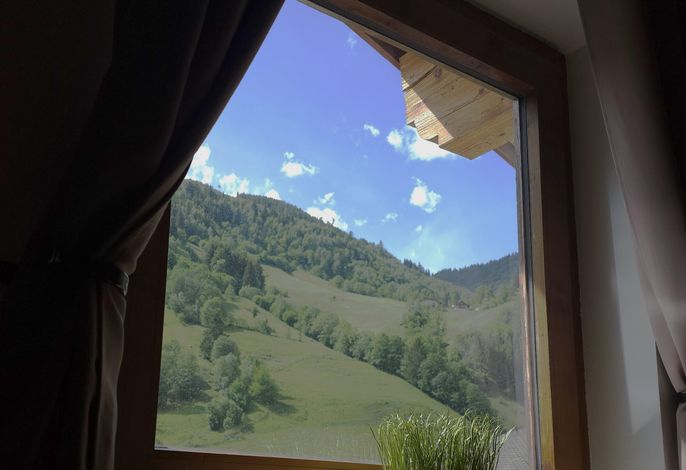 Bild 17