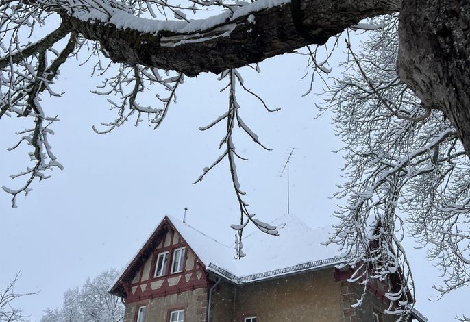 Bild 18