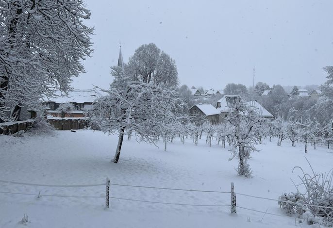 Bild 19