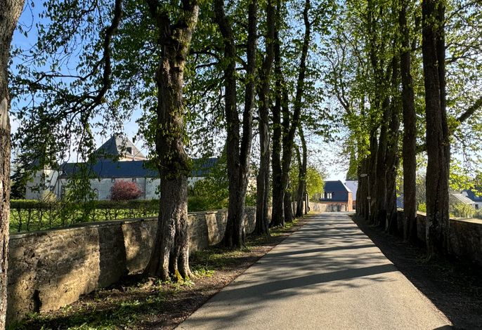 Hauptbild