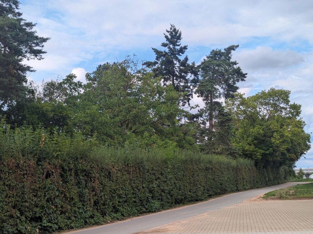 Feld&Flair - Apartment Fürth