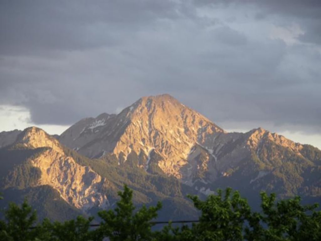 Urlaub am Bauernhof - Pension Borchardt