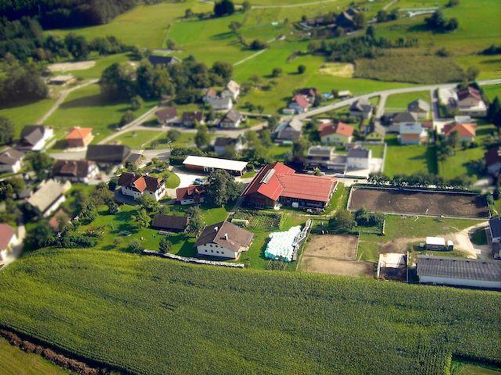 Urlaub am Bauernhof - Pension Borchardt