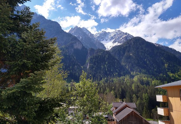 Bild 7