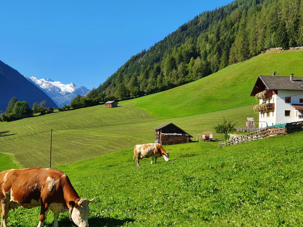 Omesbergerhof
