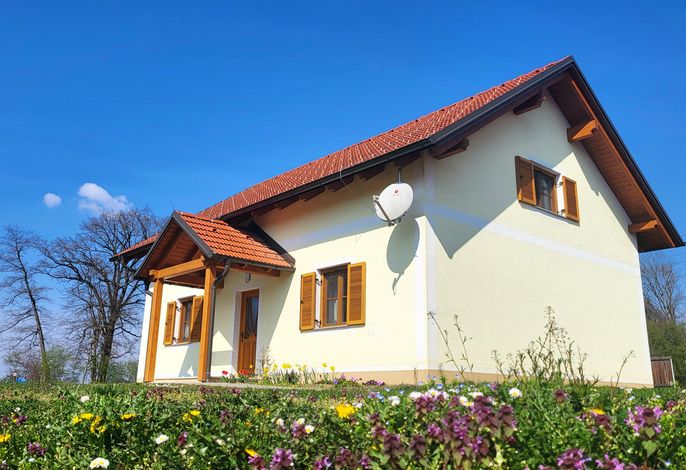 Ferienhaus in den Murauen