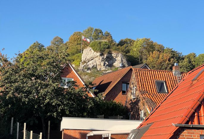 Bild 12