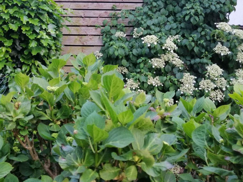 Ferienwohnung Am Steinchen