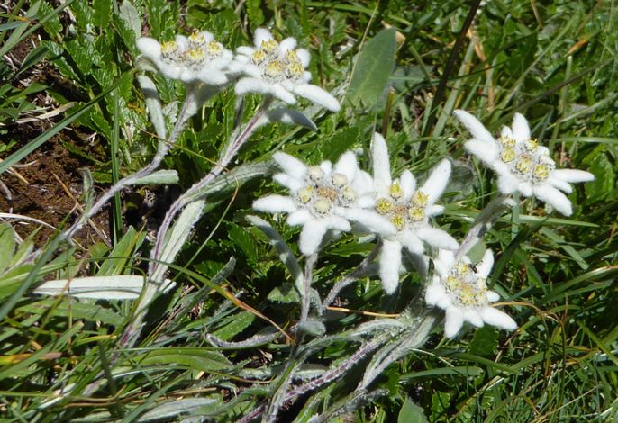 Bild 15