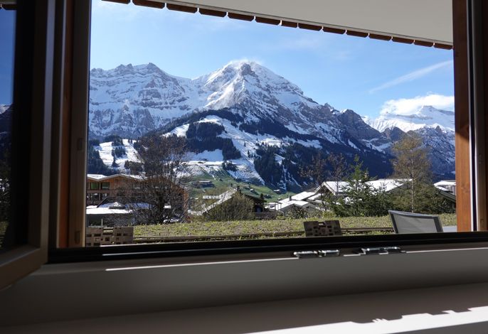 Bild 24