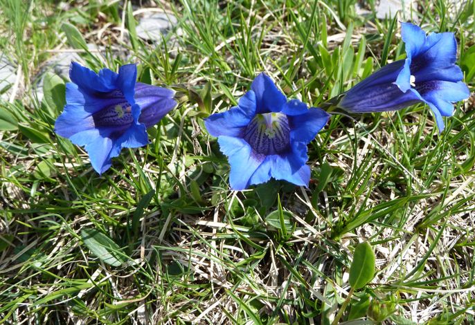 Bild 13